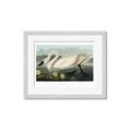 Picture of Vintage Floating White Swan _GroupedProduct_Rectangle_Landscape_Framed_Matted_