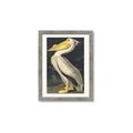 Picture of Vintage White Pelican _GroupedProduct_Rectangle_Portrait_Framed_Matted_