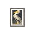 Picture of Vintage White Pelican _GroupedProduct_Rectangle_Portrait_Framed_Matted_