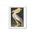 Picture of Vintage White Pelican _GroupedProduct_Rectangle_Portrait_Framed_Matted_