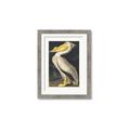 Picture of Vintage White Pelican _GroupedProduct_Rectangle_Portrait_Framed_Matted_