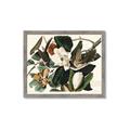 Picture of Black Billed Cuckoo Bird _GroupedProduct_Rectangle_Landscape_Framed_Matted_