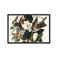 Picture of Black Billed Cuckoo Bird _GroupedProduct_Rectangle_Landscape_Framed_Matted_