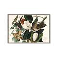 Picture of Black Billed Cuckoo Bird _GroupedProduct_Rectangle_Landscape_Framed_Matted_