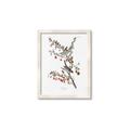 Picture of Vintage Tree Sparrow _GroupedProduct_Rectangle_Portrait_Framed_Matted_