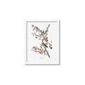 Picture of Vintage Tree Sparrow _GroupedProduct_Rectangle_Portrait_Framed_Matted_