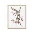 Picture of Vintage Tree Sparrow _GroupedProduct_Rectangle_Portrait_Framed_Matted_