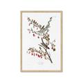 Picture of Vintage Tree Sparrow _GroupedProduct_Rectangle_Portrait_Framed_Matted_