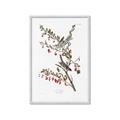 Picture of Vintage Tree Sparrow _GroupedProduct_Rectangle_Portrait_Framed_Matted_