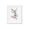 Picture of Vintage Tree Sparrow _GroupedProduct_Rectangle_Portrait_Framed_Matted_