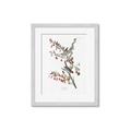 Picture of Vintage Tree Sparrow _GroupedProduct_Rectangle_Portrait_Framed_Matted_