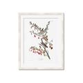 Picture of Vintage Tree Sparrow _GroupedProduct_Rectangle_Portrait_Framed_Matted_
