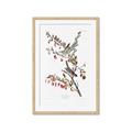 Picture of Vintage Tree Sparrow _GroupedProduct_Rectangle_Portrait_Framed_Matted_