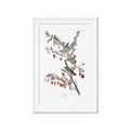 Picture of Vintage Tree Sparrow _GroupedProduct_Rectangle_Portrait_Framed_Matted_