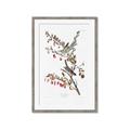 Picture of Vintage Tree Sparrow _GroupedProduct_Rectangle_Portrait_Framed_Matted_
