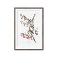 Picture of Vintage Tree Sparrow _GroupedProduct_Rectangle_Portrait_Framed_Matted_