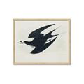 Picture of Vintage Black Sooty Tern _GroupedProduct_Rectangle_Landscape_Framed_Matted_