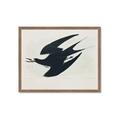 Picture of Vintage Black Sooty Tern _GroupedProduct_Rectangle_Landscape_Framed_Matted_