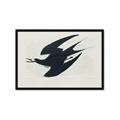 Picture of Vintage Black Sooty Tern _GroupedProduct_Rectangle_Landscape_Framed_Matted_
