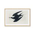 Picture of Vintage Black Sooty Tern _GroupedProduct_Rectangle_Landscape_Framed_Matted_
