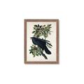 Picture of Raven From Birds of America (1827) _GroupedProduct_Rectangle_Portrait_Framed_Matted_