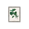 Picture of Nostalgic Green Lilac Leaves _GroupedProduct_Rectangle_Portrait_Framed_Matted_