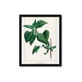 Picture of Nostalgic Green Lilac Leaves _GroupedProduct_Rectangle_Portrait_Framed_Matted_
