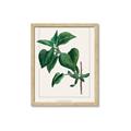Picture of Nostalgic Green Lilac Leaves _GroupedProduct_Rectangle_Portrait_Framed_Matted_