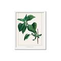 Picture of Nostalgic Green Lilac Leaves _GroupedProduct_Rectangle_Portrait_Framed_Matted_