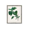 Picture of Nostalgic Green Lilac Leaves _GroupedProduct_Rectangle_Portrait_Framed_Matted_