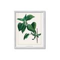 Picture of Nostalgic Green Lilac Leaves _GroupedProduct_Rectangle_Portrait_Framed_Matted_