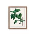 Picture of Nostalgic Green Lilac Leaves _GroupedProduct_Rectangle_Portrait_Framed_Matted_