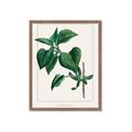 Picture of Nostalgic Green Lilac Leaves _GroupedProduct_Rectangle_Portrait_Framed_Matted_