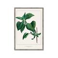 Picture of Nostalgic Green Lilac Leaves _GroupedProduct_Rectangle_Portrait_Framed_Matted_