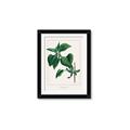 Picture of Nostalgic Green Lilac Leaves _GroupedProduct_Rectangle_Portrait_Framed_Matted_