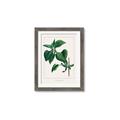 Picture of Nostalgic Green Lilac Leaves _GroupedProduct_Rectangle_Portrait_Framed_Matted_