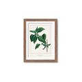 Picture of Nostalgic Green Lilac Leaves _GroupedProduct_Rectangle_Portrait_Framed_Matted_