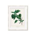 Picture of Nostalgic Green Lilac Leaves _GroupedProduct_Rectangle_Portrait_Framed_Matted_