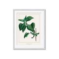 Picture of Nostalgic Green Lilac Leaves _GroupedProduct_Rectangle_Portrait_Framed_Matted_