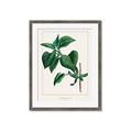 Picture of Nostalgic Green Lilac Leaves _GroupedProduct_Rectangle_Portrait_Framed_Matted_