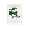 Picture of Nostalgic Green Lilac Leaves _GroupedProduct_Rectangle_Portrait_Framed_Matted_