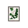 Picture of Nostalgic Green Murgrona Leaves _GroupedProduct_Rectangle_Portrait_Framed_Matted_
