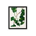 Picture of Nostalgic Green Murgrona Leaves _GroupedProduct_Rectangle_Portrait_Framed_Matted_