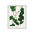 Picture of Nostalgic Green Murgrona Leaves _GroupedProduct_Rectangle_Portrait_Framed_Matted_