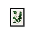 Picture of Nostalgic Green Murgrona Leaves _GroupedProduct_Rectangle_Portrait_Framed_Matted_