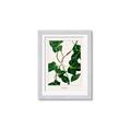 Picture of Nostalgic Green Murgrona Leaves _GroupedProduct_Rectangle_Portrait_Framed_Matted_