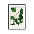 Picture of Nostalgic Green Murgrona Leaves _GroupedProduct_Rectangle_Portrait_Framed_Matted_