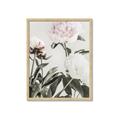 Picture of Romantic Blur Peony V _GroupedProduct_Rectangle_Portrait_Photography _GroupedProduct_Rectangle_Portrait_Framed_Matted_
