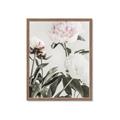 Picture of Romantic Blur Peony V _GroupedProduct_Rectangle_Portrait_Photography _GroupedProduct_Rectangle_Portrait_Framed_Matted_