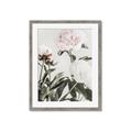 Picture of Romantic Blur Peony V _GroupedProduct_Rectangle_Portrait_Photography _GroupedProduct_Rectangle_Portrait_Framed_Matted_